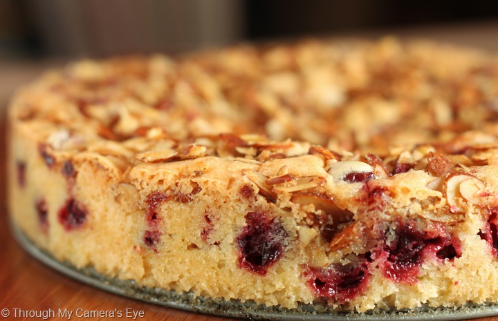 [cranberry-almond-cake[7].jpg]