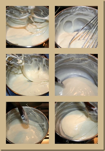 mozzarella home made2 mozzarella home made2