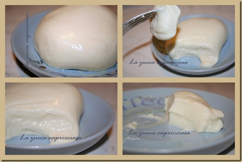 mozzarella home made4 mozzarella home made4
