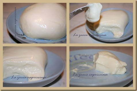 mozzarella home made4