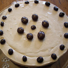 Frozen Mocha Cheesecake