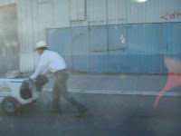 PA080003.JPG