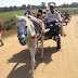 198 P1010166.JPG