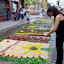DSC00572.JPG