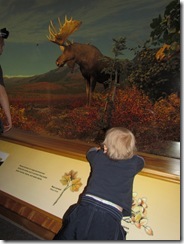 IMG_0351 IMG_0351