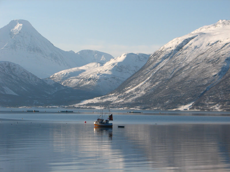 Storfjorden