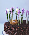 early spring flowers