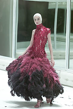 Dress of red and black ostrich feathers and glass medical slides painted red (VOSS - Spring/Summer 2001) Dress of red and black ostrich feathers and glass medical slides painted red (VOSS - Spring/Summer 2001)