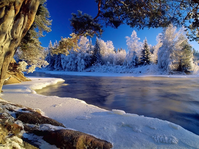 Winter Wallpapers Winter Wallpapers