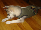 Preparing to enlist herself at the ripe age of 3 months