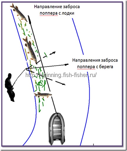 ловля на поппер с лодки и с берега