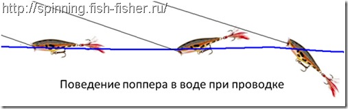 ловим на поппер ловим на поппер
