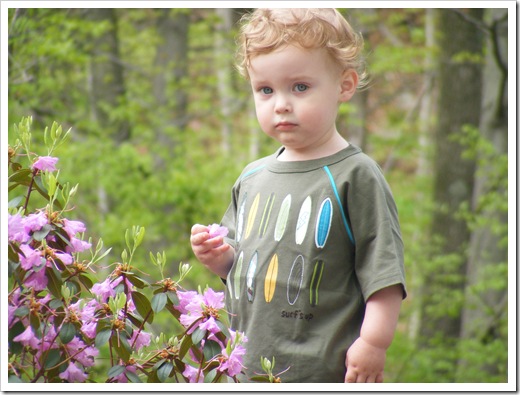 fix it friday: sweet boy