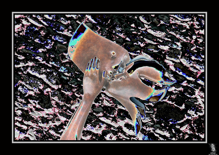 http://lh4.ggpht.com/_eA1eLh-IuMA/TRt2dTTz2SI/AAAAAAAAHMs/q2ouVR1CoGs/s720/baiser.jpg