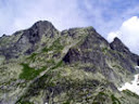 zajawka