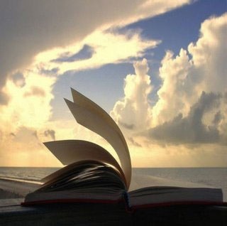 [leer-la-biblia[3].jpg]