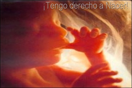 concebido1 concebido1