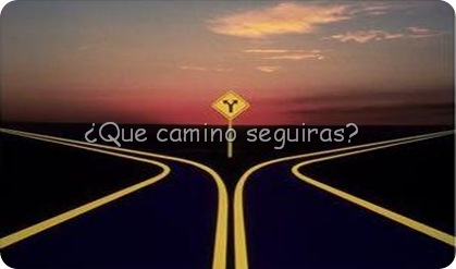 voluntad