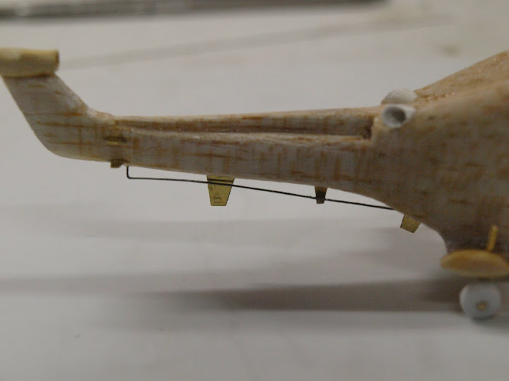 P7225150.JPG
