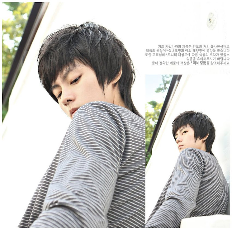 รูปภาพ วิกผมผู้ชาย วิกผม เกาหลี เพิ่มความหล่อเท่ห์แบบหนุ่ม K-POP