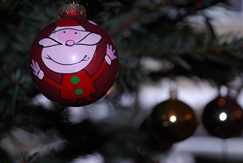 DSC_0588 DSC_0588