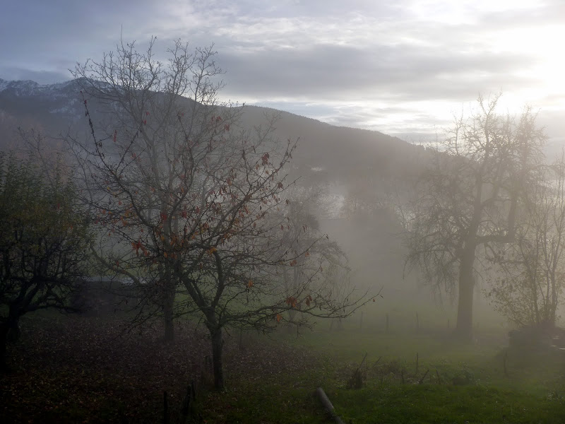 Défi 043 : Paysage embrumé P1010971