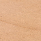 oil and wax soft maple wood sample
