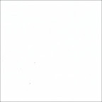 white paint on oak wood sample