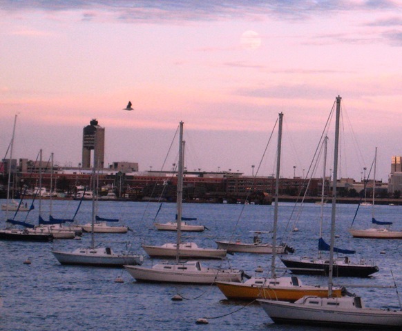 [sIMG_84505.jpg]