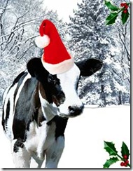 christmas-cow