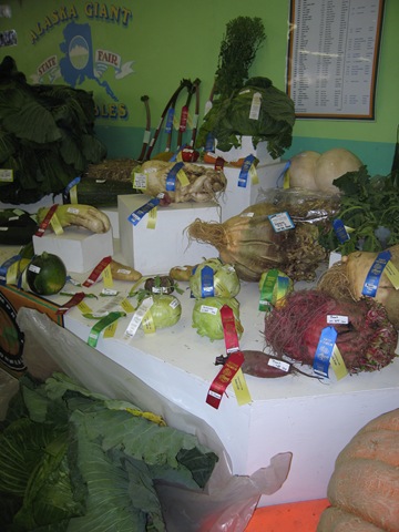 [IMG_65551.jpg]