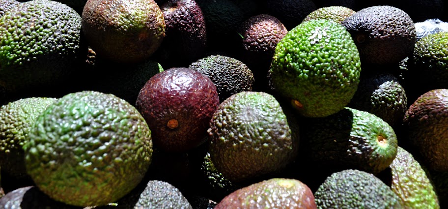 7/11/2010-A box of avacados from Mareeba sold in various shades of purple and green.