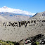  &ndash; trekkers riding on a horse