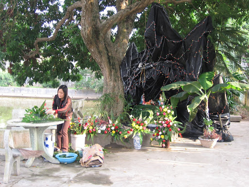 Cắm hoa Giáng Sinh