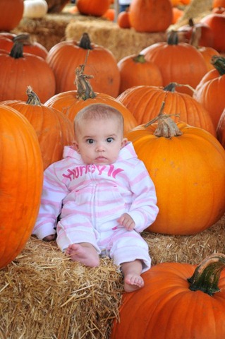 [sons2010nov-3[3].jpg]