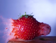 high_speed_photography_20