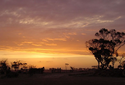 [outback_sunset[5].jpg]