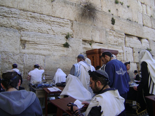 [Men Praying At Wall[3].jpg]