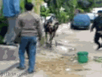 http://lh4.ggpht.com/_eP5nS03qpeI/TKy0CwEAJDI/AAAAAAAAAHI/YiJNdfzP8l8/s400/12821980042.png