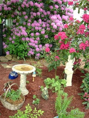 [New_Garden_2008c[7].jpg]