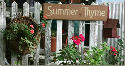 SummerThyme3_2009