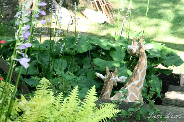 [HH_Giraffes_2010[7].jpg]