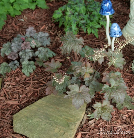[Heuchera_Blooming_July17[6].jpg]