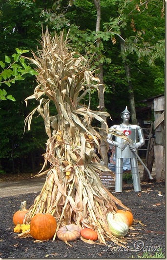 BWF_Tinman_2010