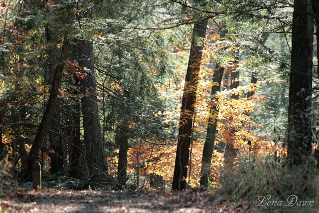 [Fall_UpperTrail4[9].jpg]