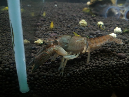 圖檔