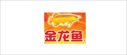  一些已经不属于中国的中国品牌