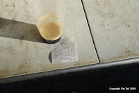 DSC_6901_s.jpg