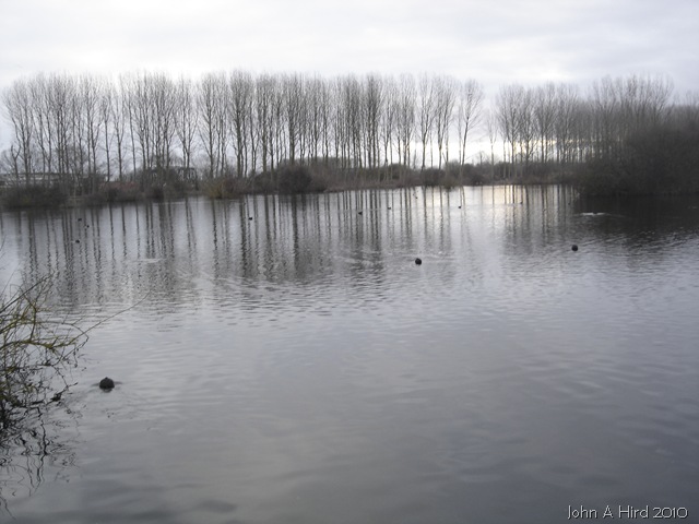 [2010-02-07 006[5].jpg]