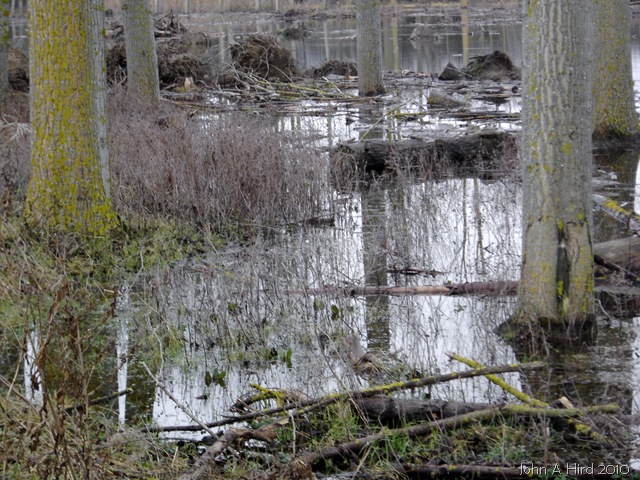 [2010-02-07 017[5].jpg]